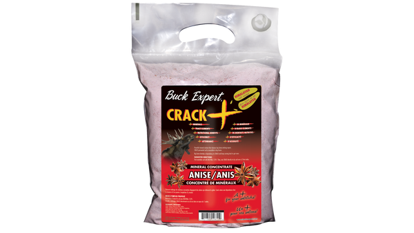 Crack+ orignal de Buck Expert