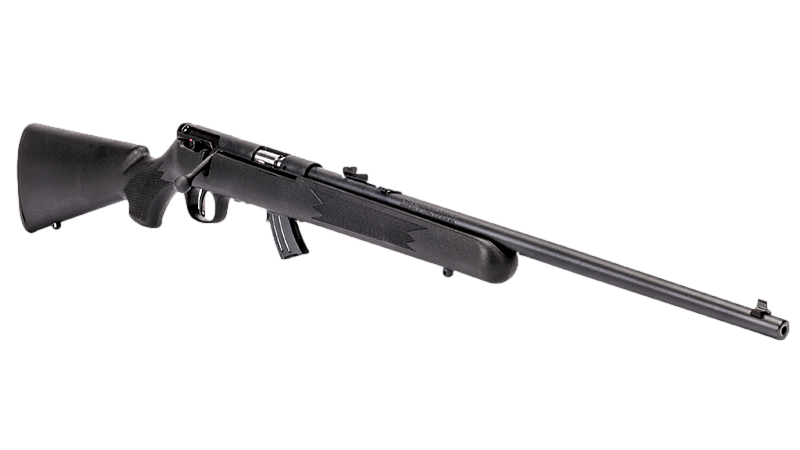 Carabine 22LR rimfire Mark II F Par Savage