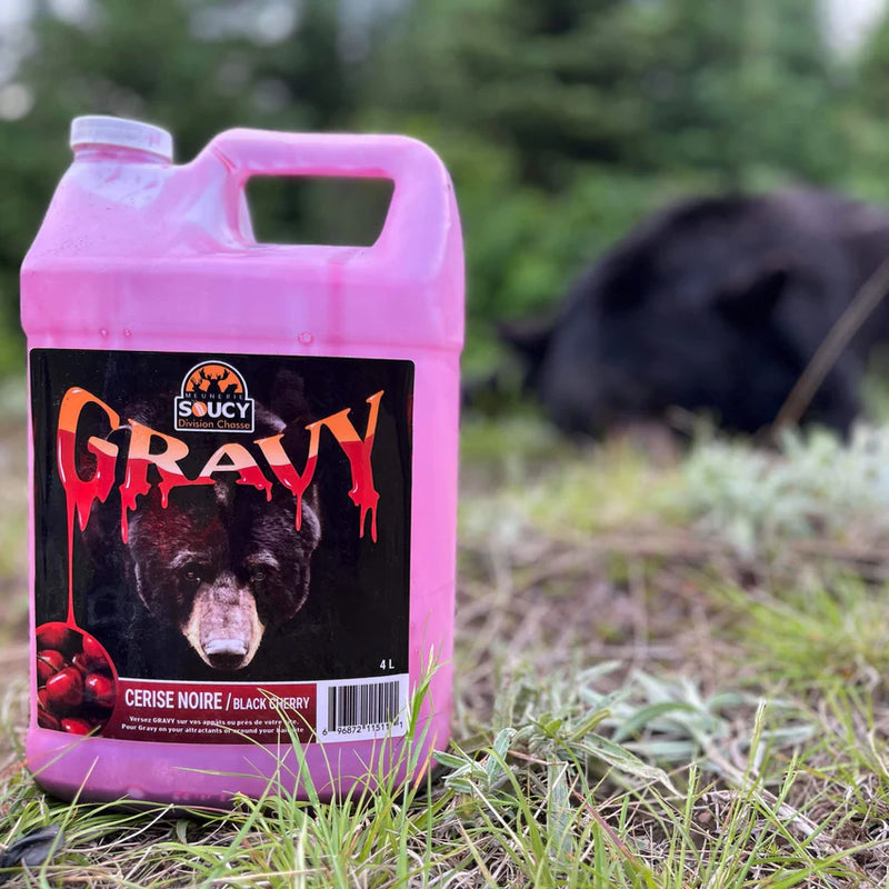 Gravy Cerise noir pour ours