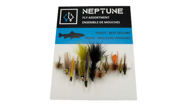 Ensemble de mouches à truite PAR NEPTUNE