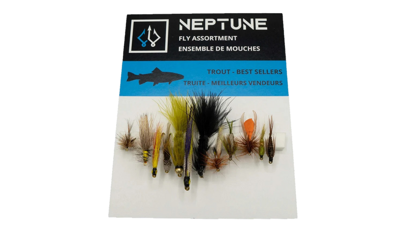 Ensemble de mouches à truite PAR NEPTUNE