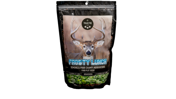 Semences Frosty Lunch brassica 1kg par Traktiq Lab