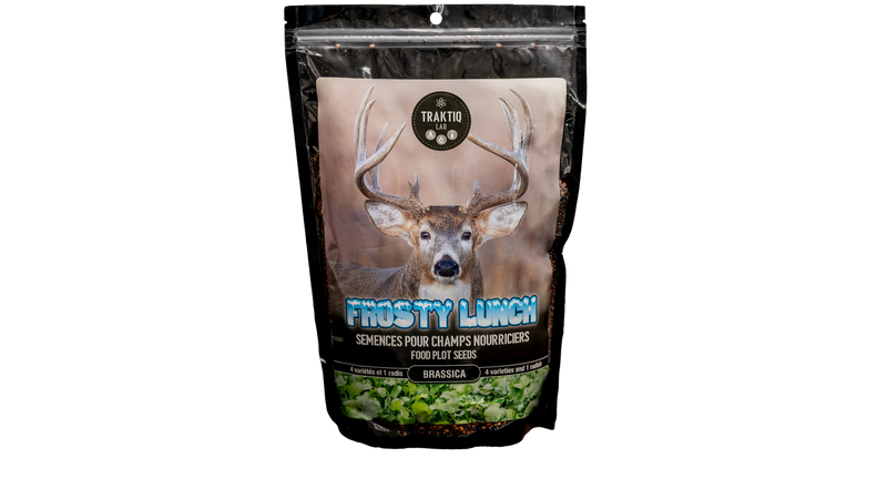 Semences Frosty Lunch brassica 1kg par Traktiq Lab