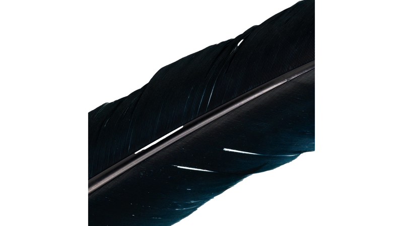 Plumes de dinde par Shor Fishing