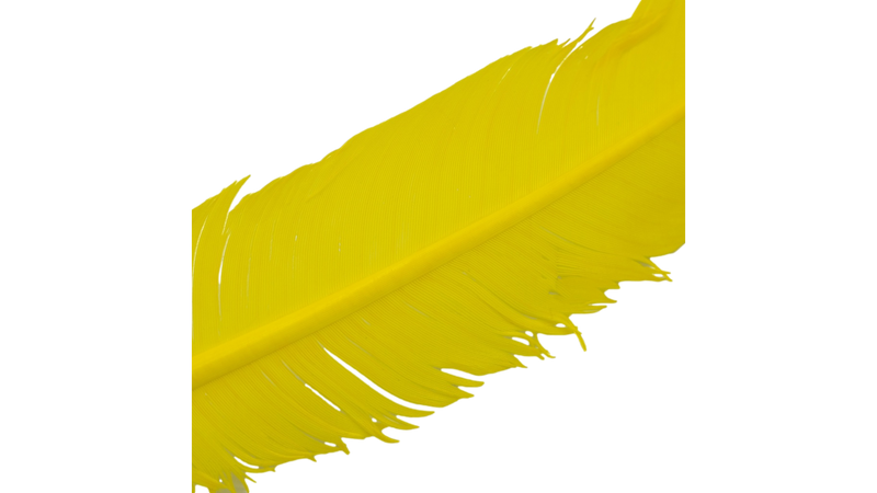 Plumes de dinde par Shor Fishing