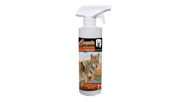 Urine de coyote 1 litre Buck Hunter