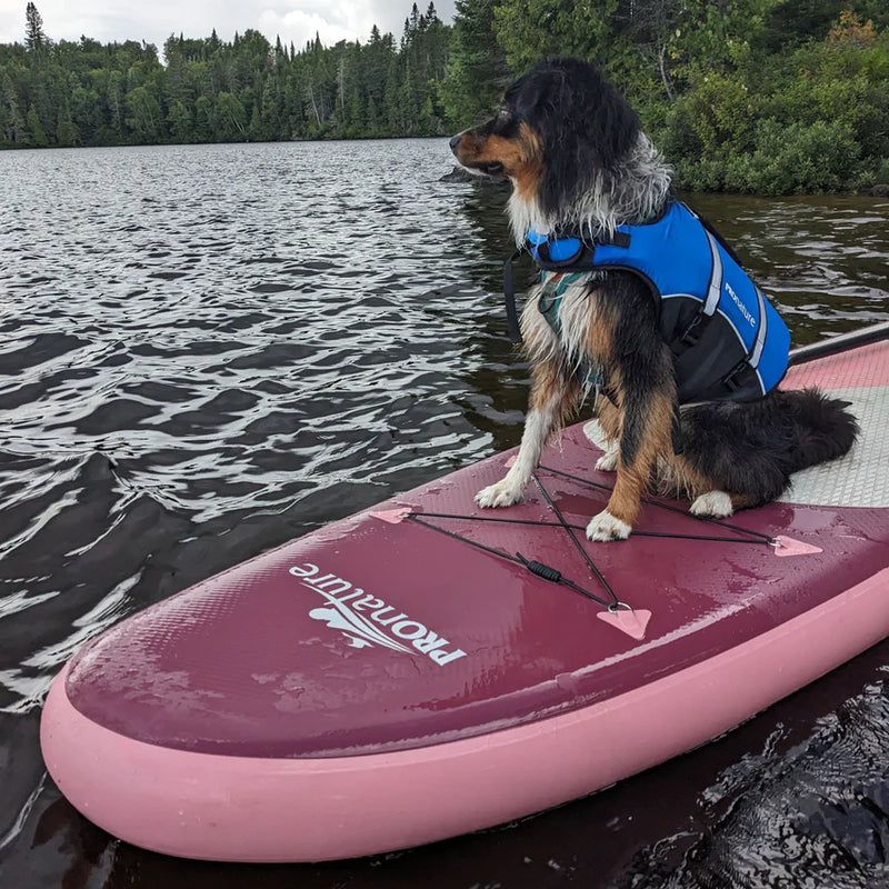 Veste de flottaison pour chien "Water dog" PAR PRONATURE