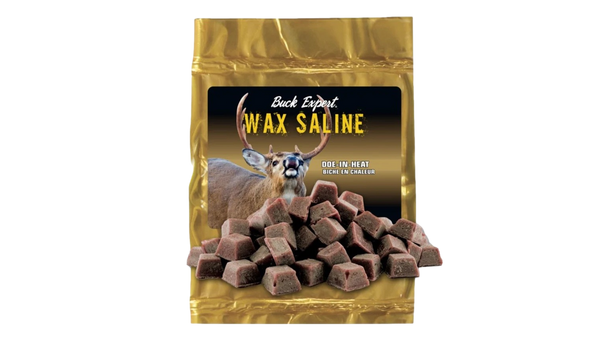 Cire Wax Saline Biche en chaleur Par Buck Expert