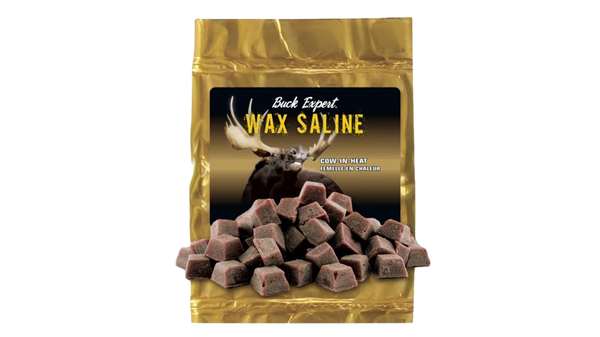 Cire Wax Saline Jument en chaleur Par Buck Expert