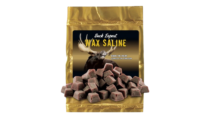 Cire Wax Saline Jument en chaleur Par Buck Expert