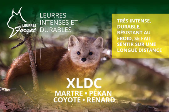 Leurre pour martre, pékan, renard, coyote XLDC 120ml Par Leurres Forget