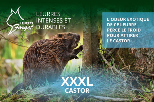 Leurre pour castor XXXL 120ml Par Leurres Forget