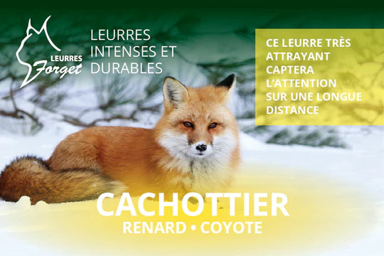 Leurre pour renard, coyote CACHOTTIER 120ml Par Leurres Forget