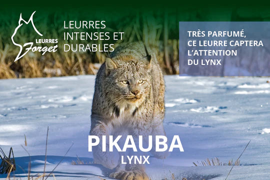 Leurre pour lynx du Canada PIKAUBA 120ml Par Leurres Forget