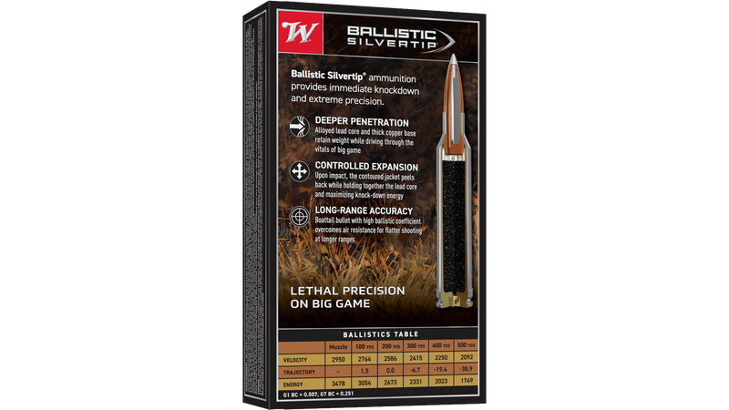 Munitions 300 Win Mag 180gr Ballistic Silvertip Par Winchester