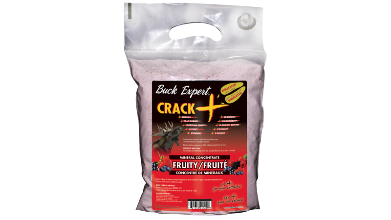 Crack+ orignal de Buck Expert