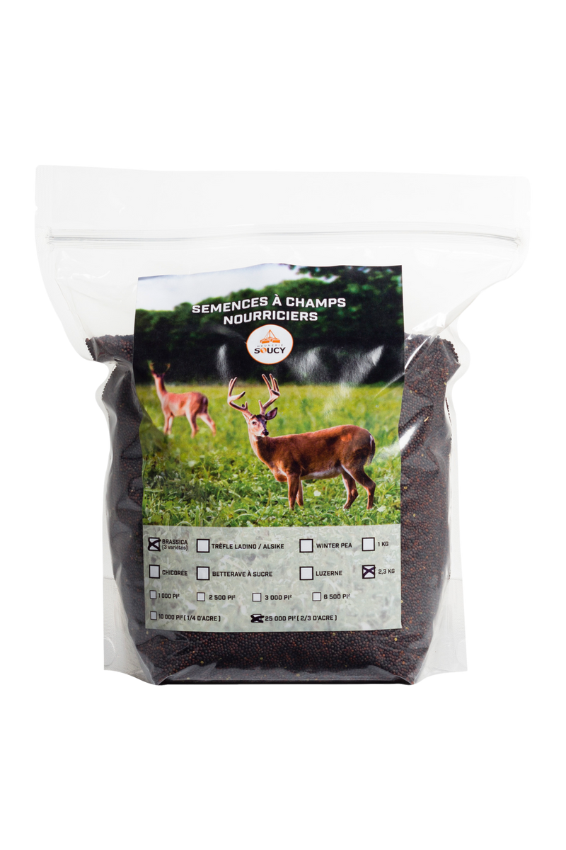 Seeds for deer food plot (brassica)
