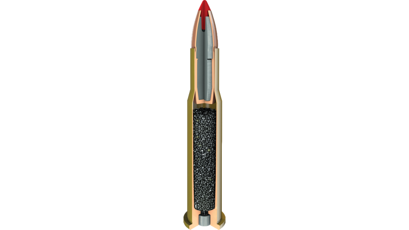 Munitions Hornady LEVEREVOLUTION 30-30 WIN 160 gr. FTX