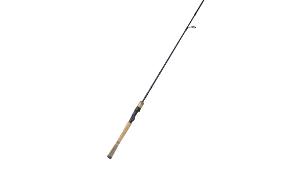 Fenwick Eagle fishing rod (spinning)