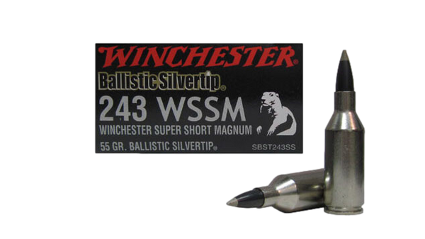 Munitions Winchester Supreme Ballistic Silvertip cal. 243 WSSM 55 gr.