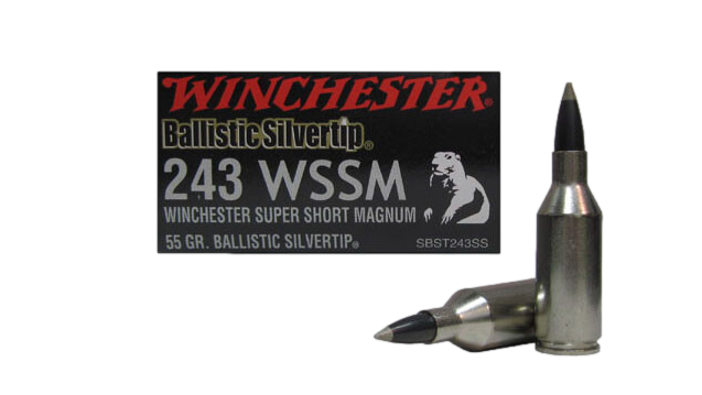 Munitions Winchester Supreme Ballistic Silvertip cal. 243 WSSM 55 gr.