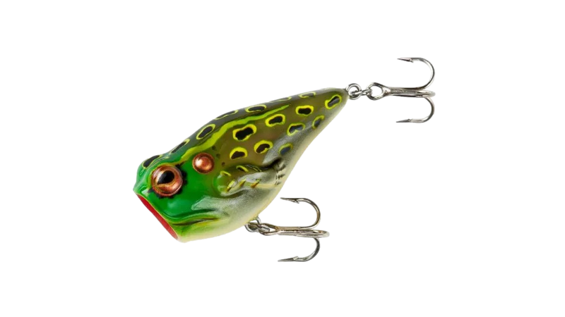 Pop'N Frog de Rebel