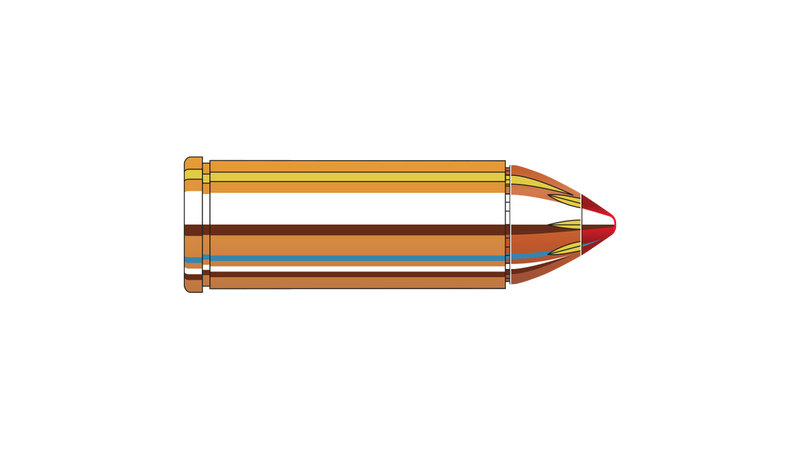 Munitions 45 Colt 225 gr. FTX LeverEvolution de Hornady